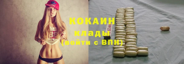 сатива Абаза