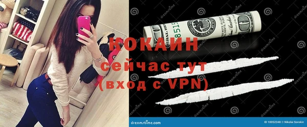 сатива Абаза