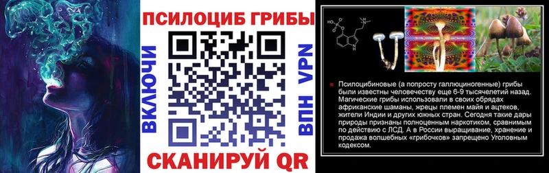 Псилоцибиновые грибы MAGIC MUSHROOMS  мега как войти  Усть-Илимск 