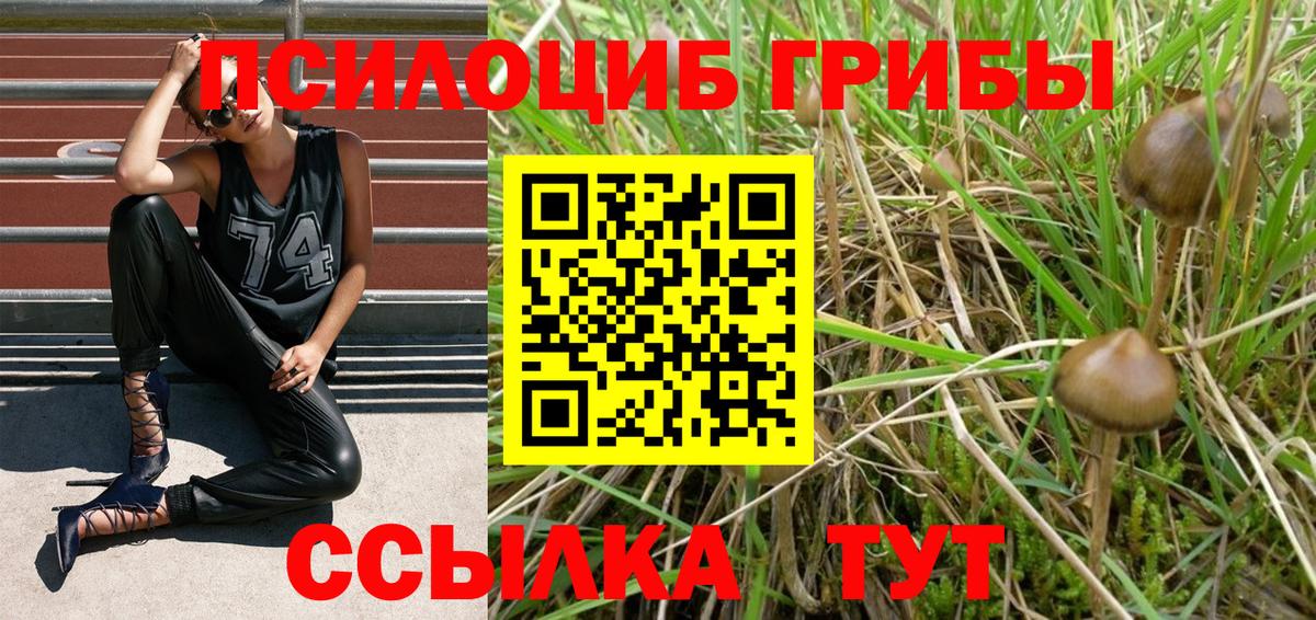 Псилоцибиновые грибы мухоморы  Вход с VPN  Усть-Илимск 